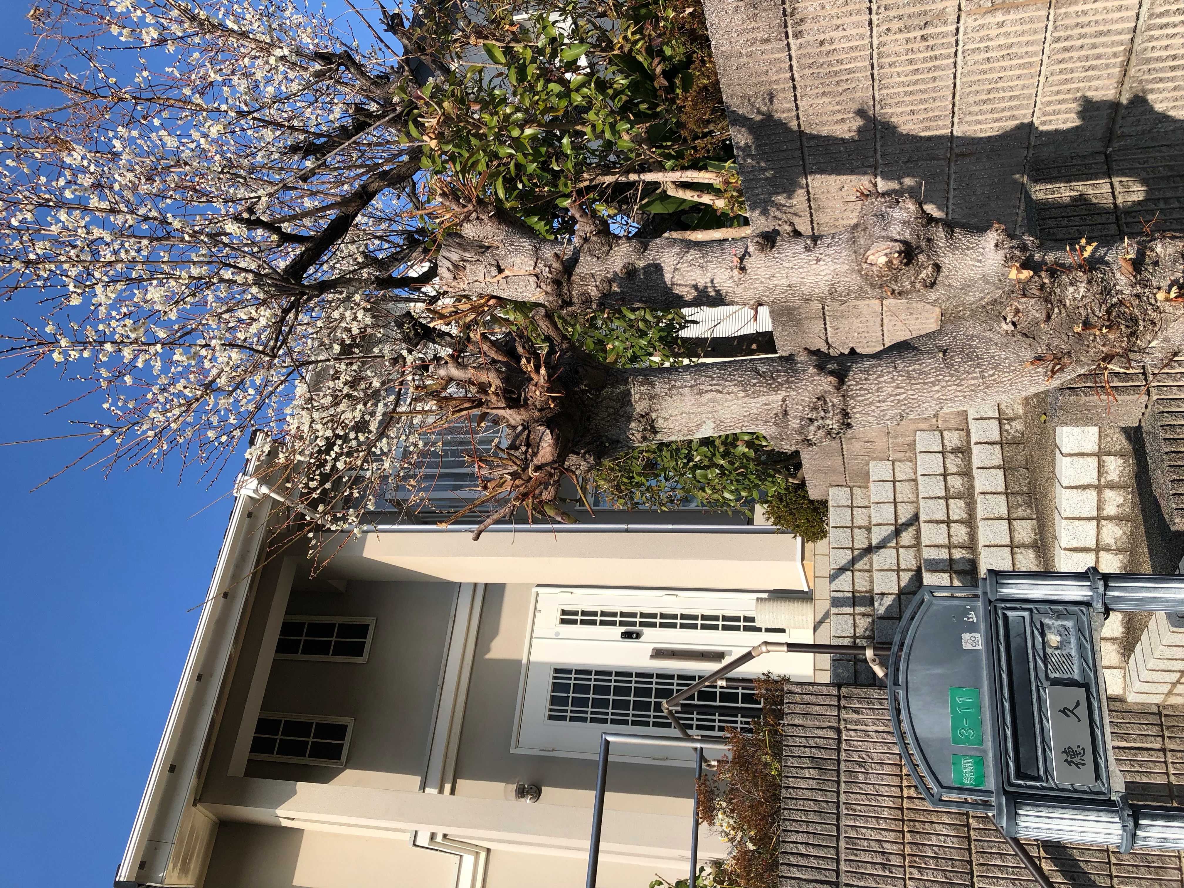 折尾教室の外観